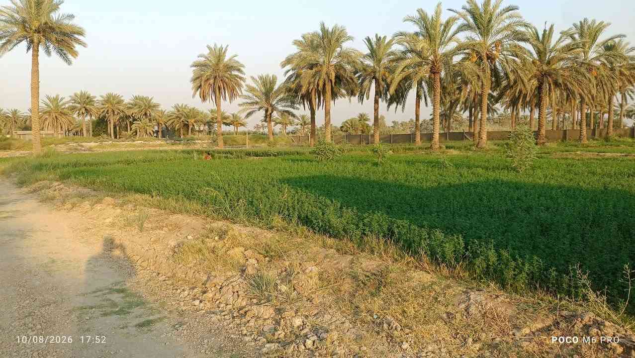السلام عليكم بيت للبيع مع ارض مساحتها 2 دونم ونصف  الاستفسار الاتصال على الرقم
‏‪***********‬‏

‏‪***********‬‏
المكان اللطيفية كيلو 18
