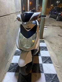 سكنس فحل • ياباني • مكفولة