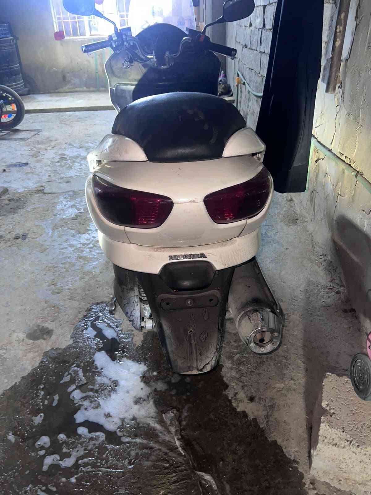 فورزا ٠٨ • فورزا ٠٩ • نشطة