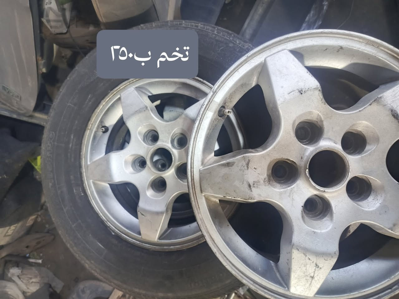 سلام عليكم ويلات للبيع تخم النجمه ب٢٥٠ ويلات لعاديه ٣ وياله ب١٥٠ بصره ابو الخصيب *********** بصره ابو الخصيب

نص مكتوب في الصور:
- ٣ ويلات ب ١٥٠
- تخم ب ٣٥٠