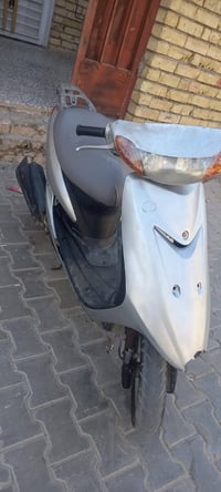 عصفوريه كامله سعر ٢٠٠ بلشعله ٠٧٧١٢٨١٧٥٥٩