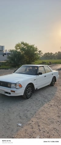 هارتوب • نجف ابو صخير • جثه جاهزه