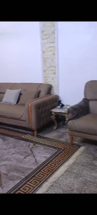 ٤ قطع • ٨ مقاعد • عراقي