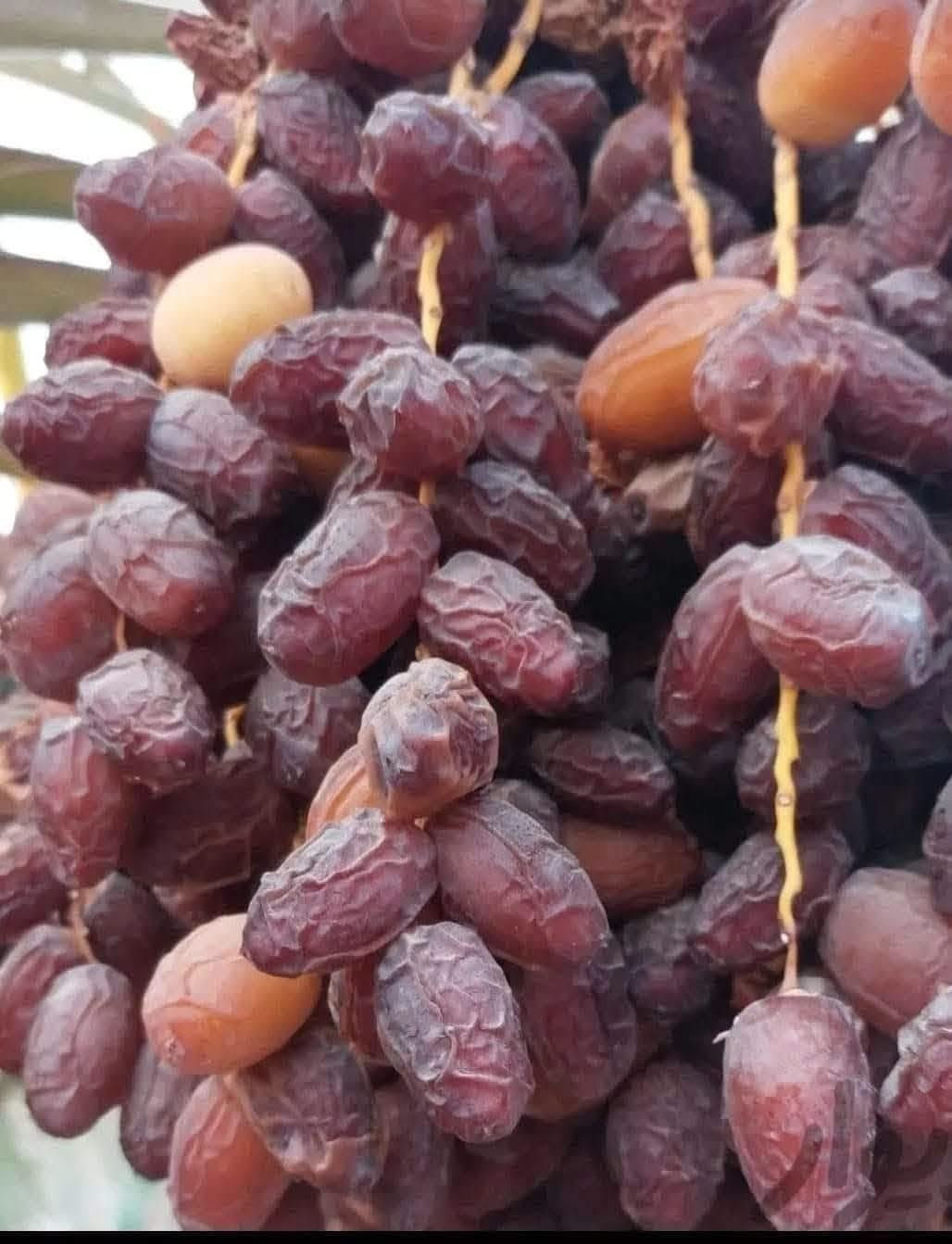 السلام عليكم يوجد لدينا جميع انواع بطينتهن بريم وتوصيل الكافت المحافظات ***********

نص مكتوب في الصور:
- بريم