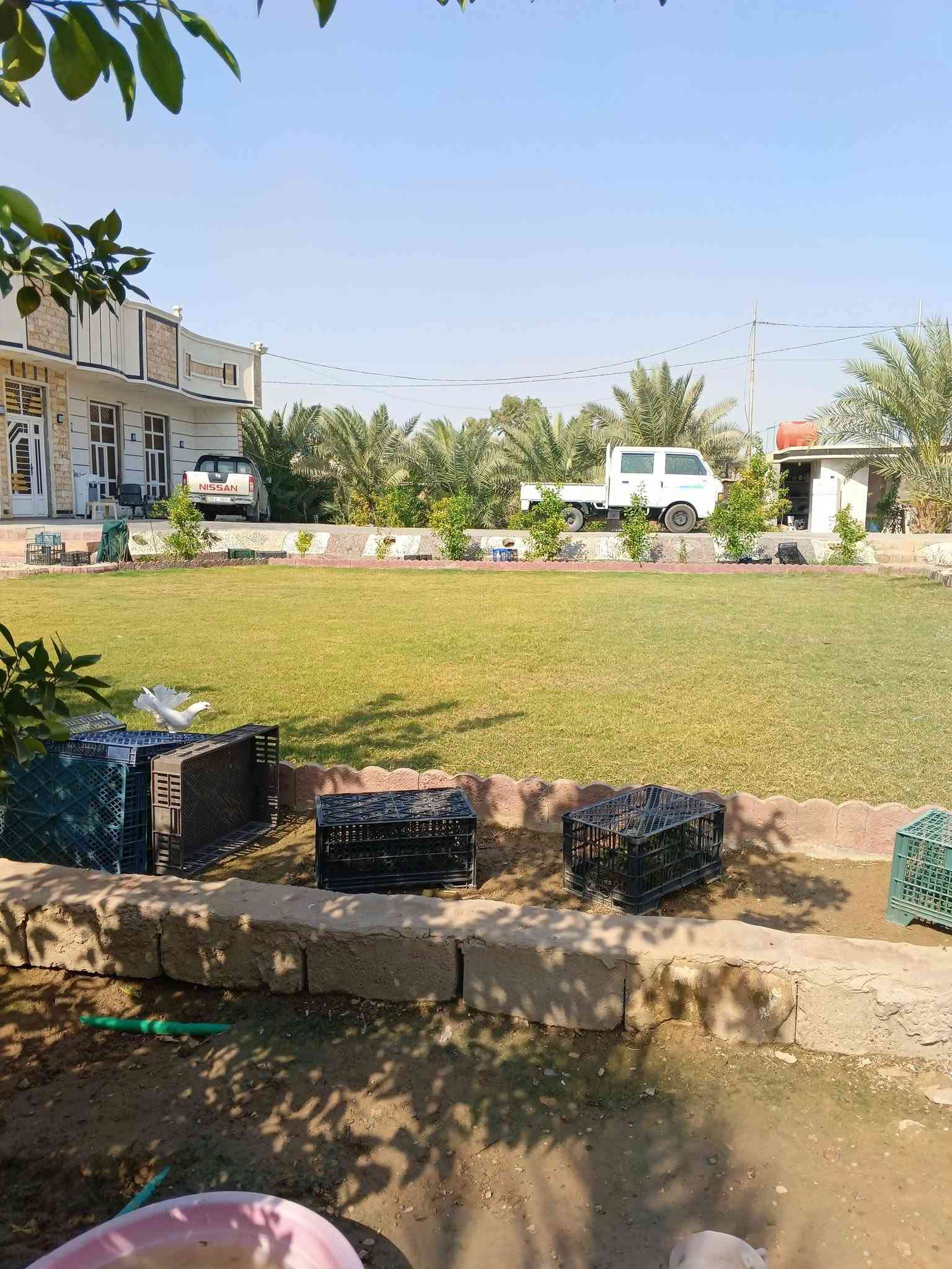 الفلوجه الازركيه • ٢٠٠٠م • سند ٢٥