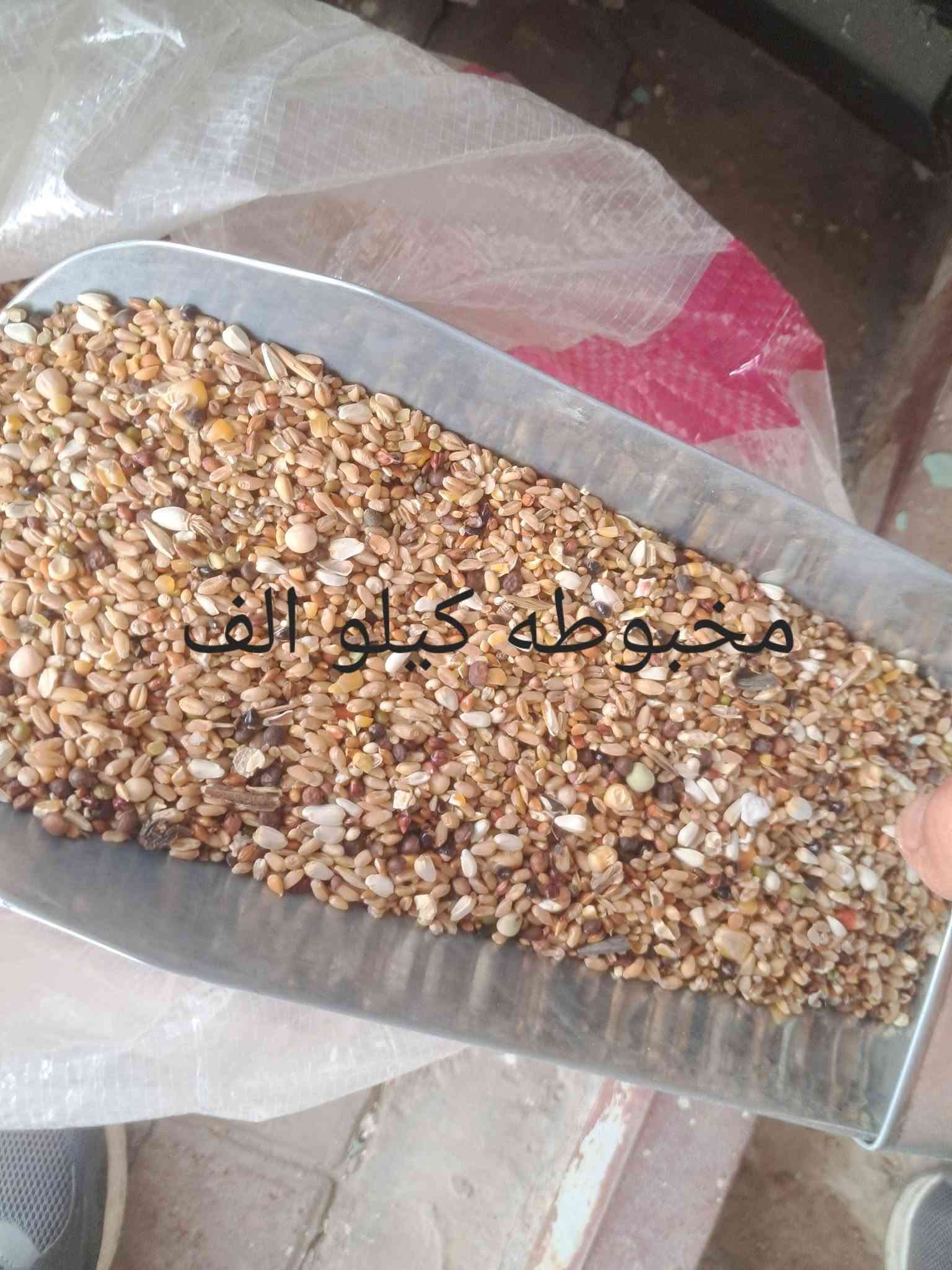 حي زهور • أدوات صيد • أعلاف