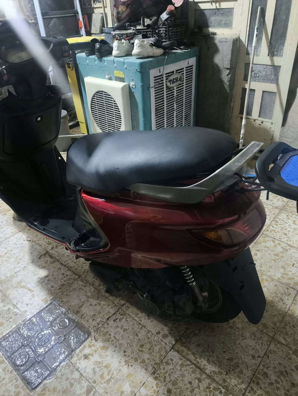 فراشة • فحل • نقص بطاريه