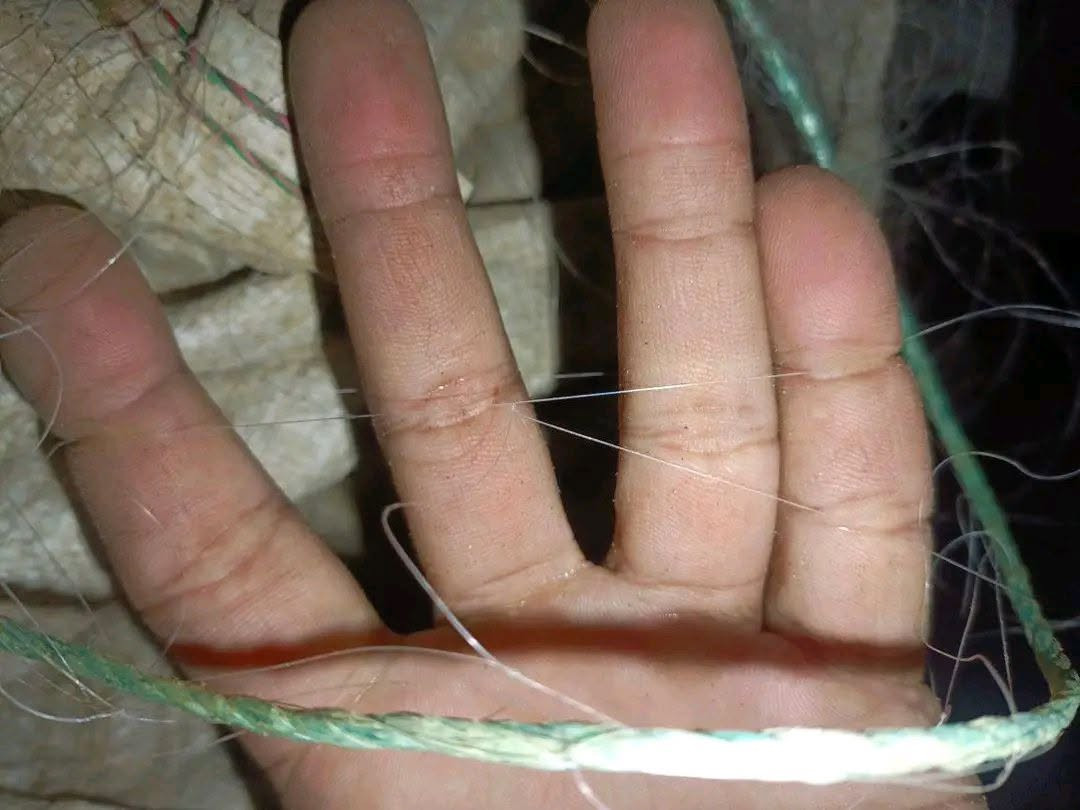 السلام عليكم 
موجود كل انواع شبك صيد السمك
سعر المتر من 600 الى 750 دينار للمتر
اتصل 👈***********
