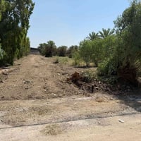 ارض للبيع دوانم منطقه الرافدين طابو زراعي سند 25 07904634096