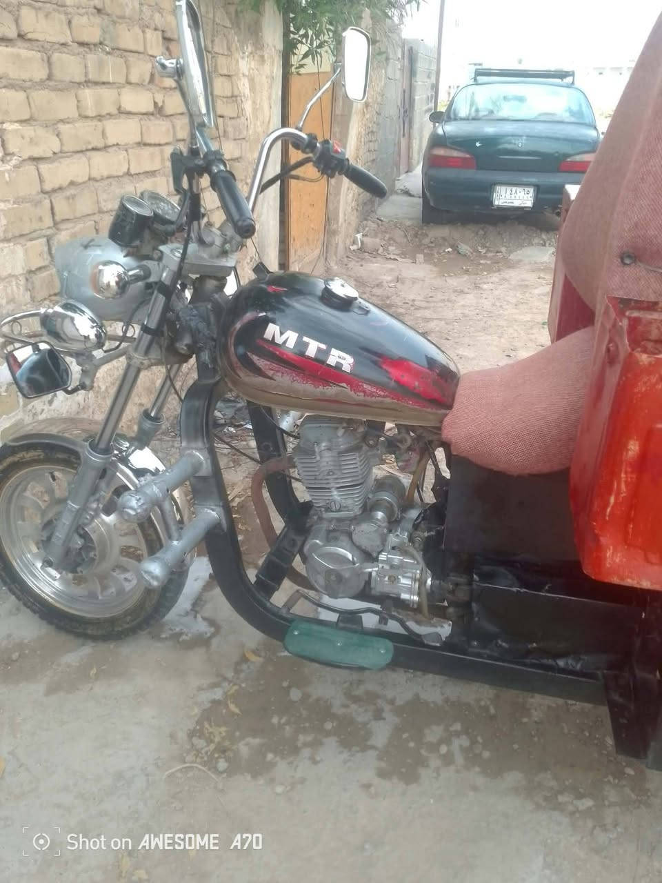 ستوته • دولفين • مكفولة