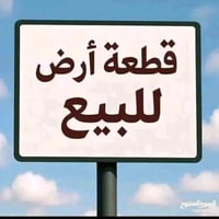 طابو زراعي • ١٠٠م • حله ورديه