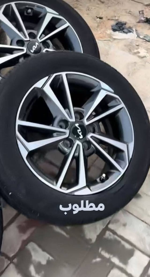 ويل سيراتو • ٢٠٢٤ • ١٥انش