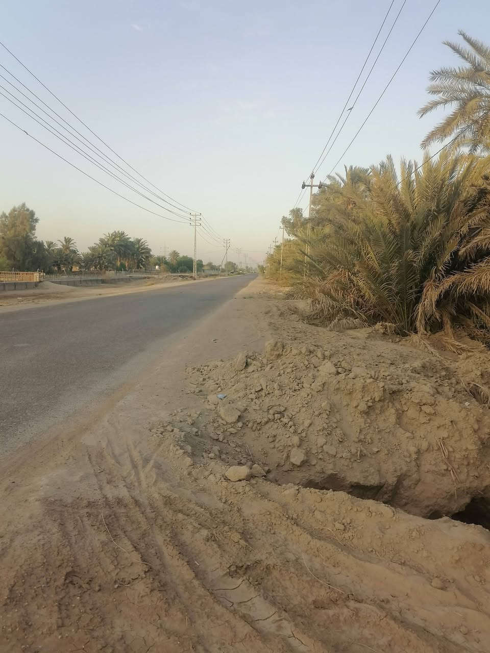 ارض زراعية للبيع عله طريق السنيه الدوانيه مدخل السنيه اول جسر وطب بل فرع التبليط ملأت الساده الرحمن وجهيته ع التبليط الفرعي ٤٥ متر ركن صاير شارعين عليه  جنس الاعقار بستان طابو نخل حمال بأنواعه كهرباء وماي اساله وماطور ماي ع الشط إله بس شخص واحد *********** مروس عادي ***********
