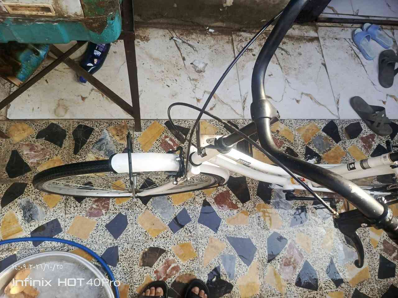 سانتوس • ابيض • موديل ٢٢