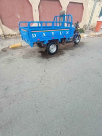 ستوته • ٢٠١٥ • شاصي مكفول