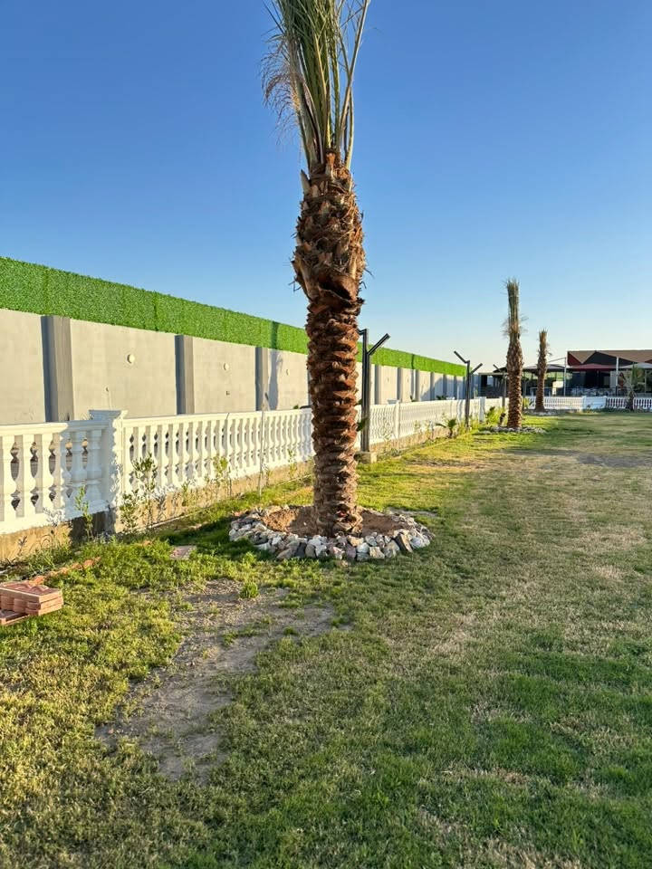 سياج سلام للديكورات والمحجرات والاسيجة
ديكورات الحدائق - Royal fence

ممول . محتوى الذكاء الاصطناعي 

قالب مده وحده بدون جواينات 

(( لا يوجد  عرانيس جاهز  قوالب فقط  ))

#الاستراحات

#اسيجة_ملكية .

#محجرات_كونكريت

#اسيجة_حدائق

#محجر_عرانيص

***********
