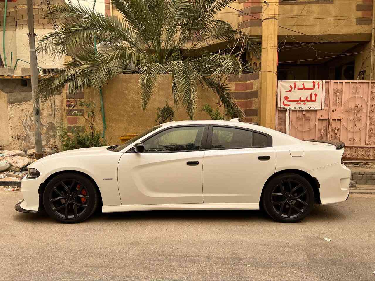 🚘 دوج تشارجر R/T 2017 Blacktop – 5.7 HEMI V8

للبيع Dodge Charger R/T 2017
🇨🇦 وارد كندي – Clean Title
🖤 لون أبيض ناصع 
🔥 محرك 5.7 HEMI V8
⚙️ السيارة ستوك بالكامل وبدون أي برمجة
📍 السيارة موجودة في البصرة

المواصفات:

• فتحة سقف
• شفتات ستيرن (Paddle Shifters)
• كرسي السائق كهربائي
• تدفئة كرسي السائق
• تشغيل عن بعد 
• مساج للسائق
• شاشة كبيرة مع Apple CarPlay
• مثبت سرعة
• نظام صوت alpine 
• كزوز دبات سوداء وارد كندا
• إشارة ترحيب Dodge
• ويل 20” GT
• تايرات جديدة
• تبريد ثلج ❄️
• محدثة بالكامل SRT من دعاميات ودوس
• دهن زيت جديد

حالة السيارة:

السيارة باسمي، رقم بصرة، والهزة تخلص بشهر العاشر.
تحويل ثاني يوم.

⚠️ ملاحظة :
الباب الخلفي جهة السائق بيه صبغ تقريبًا 4 أصابع.

السيارة استخدام شخصي ومواصفاتها مرتبة.

📍 المكان: البصرة
*********** البصرة, العراق
