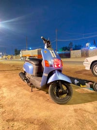 بوليس • ستوته • ٢٠٠٧