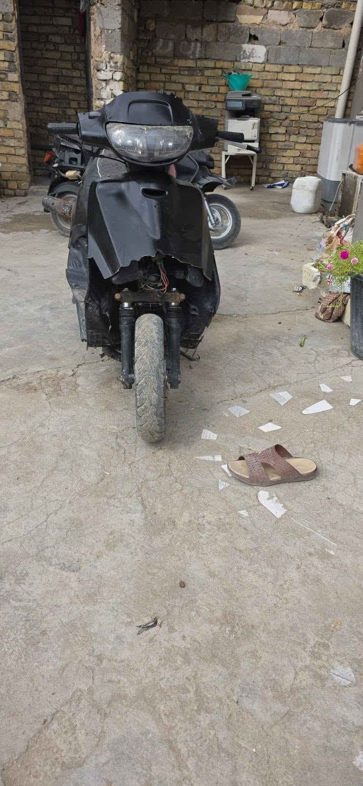 سلام عليكم شباب فراشه فحل البيع دراجه حلوه مامفتوحه  دراجه كلش حلوه وريده 200 بيه مجال قليل مكاني نجف كوفه +964 774 249 3214 وتساب وخاص
