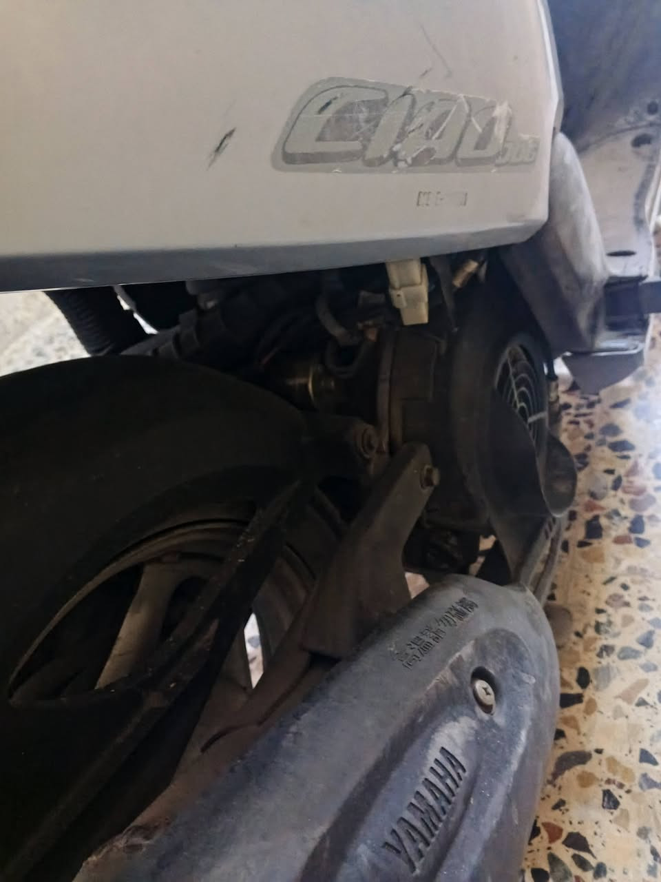 مراوس • نضيفه • معدل