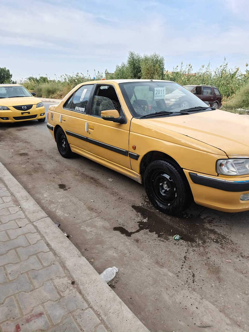بيجو بارس • ٢٠١١ • بلا صبغ