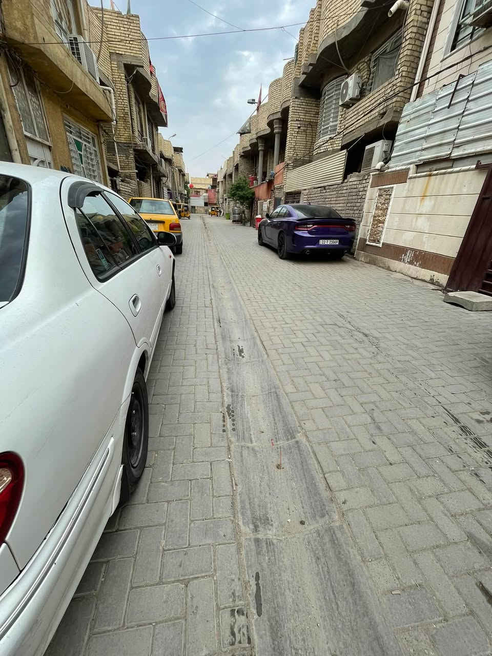 صني 2001 • بأوراق • خالي من الحادث
