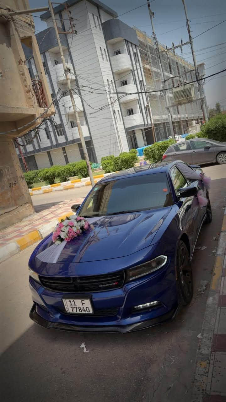 السلام عليكم
جارجر 

2019 SXT PLAS 

فتحة 

رقم بغداد ب اسمي 

ماشية 65 mi 

ضررها تبديل جاملغ السايق فقط والبنيد ولباب كلير بدون بارد بدون معجون بدون صبغ 

السيارة نضيفة وجاهزة ع ايدي جانيها من2022 صارلها ع 4 سنوات عندي 

السعر:205 وبيها مجال 

*********** واتساب 

***********
