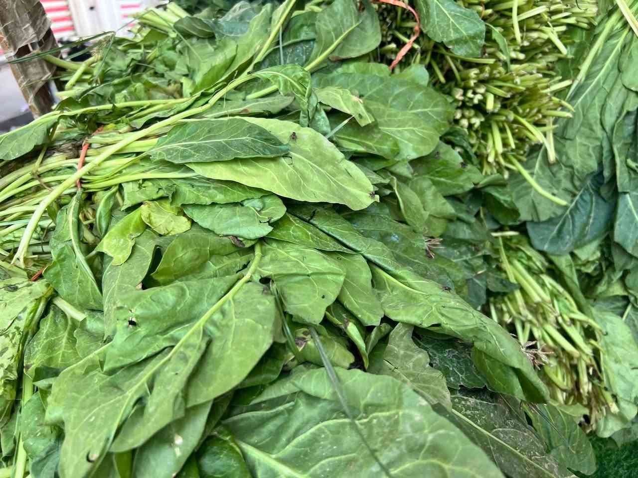 خضرة • مرتبة ١٠
