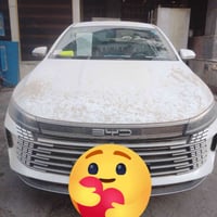 دستر رويل • ٢٠٢٥ • اقتطاع مباشر