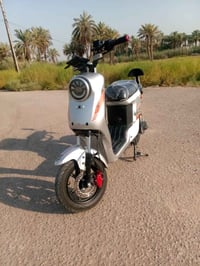 ار 9 • نضيفه • بابل اسكندريه