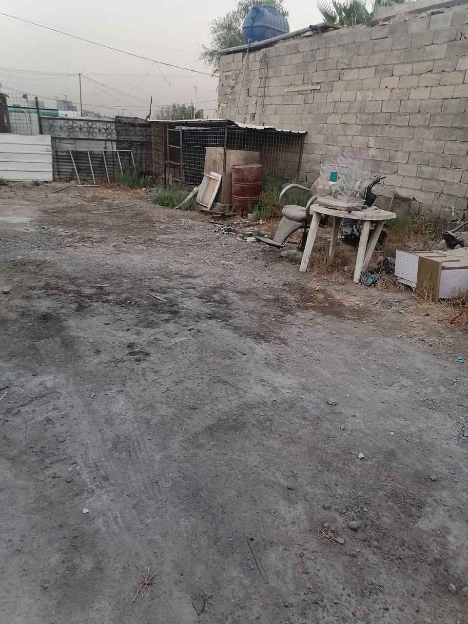 السلام عليكم
قطعت ارض للبيع 
جنس الارض تجاوز نادي التجاره 
المساحه 130 متر الواجها 8
موقع القطعه البياع مقابيل الري يم سوق اميمه بالشباب
السعر 15 وبيها مجال 
الاستفسار على الرقم وبي واتساب ***********
