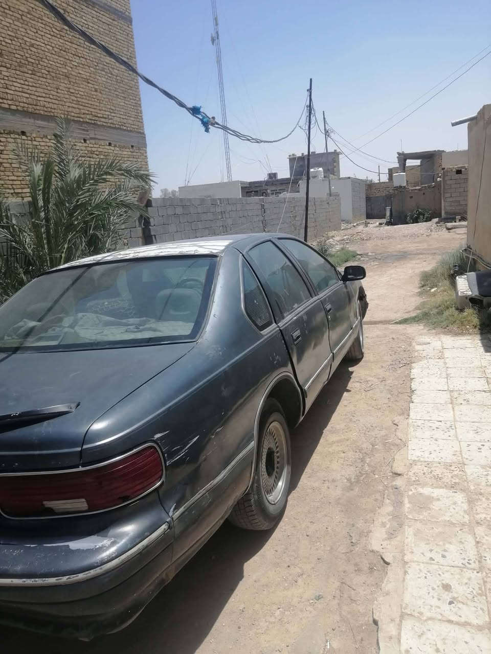 دولفين • كفالة مكينه • ناصرية
