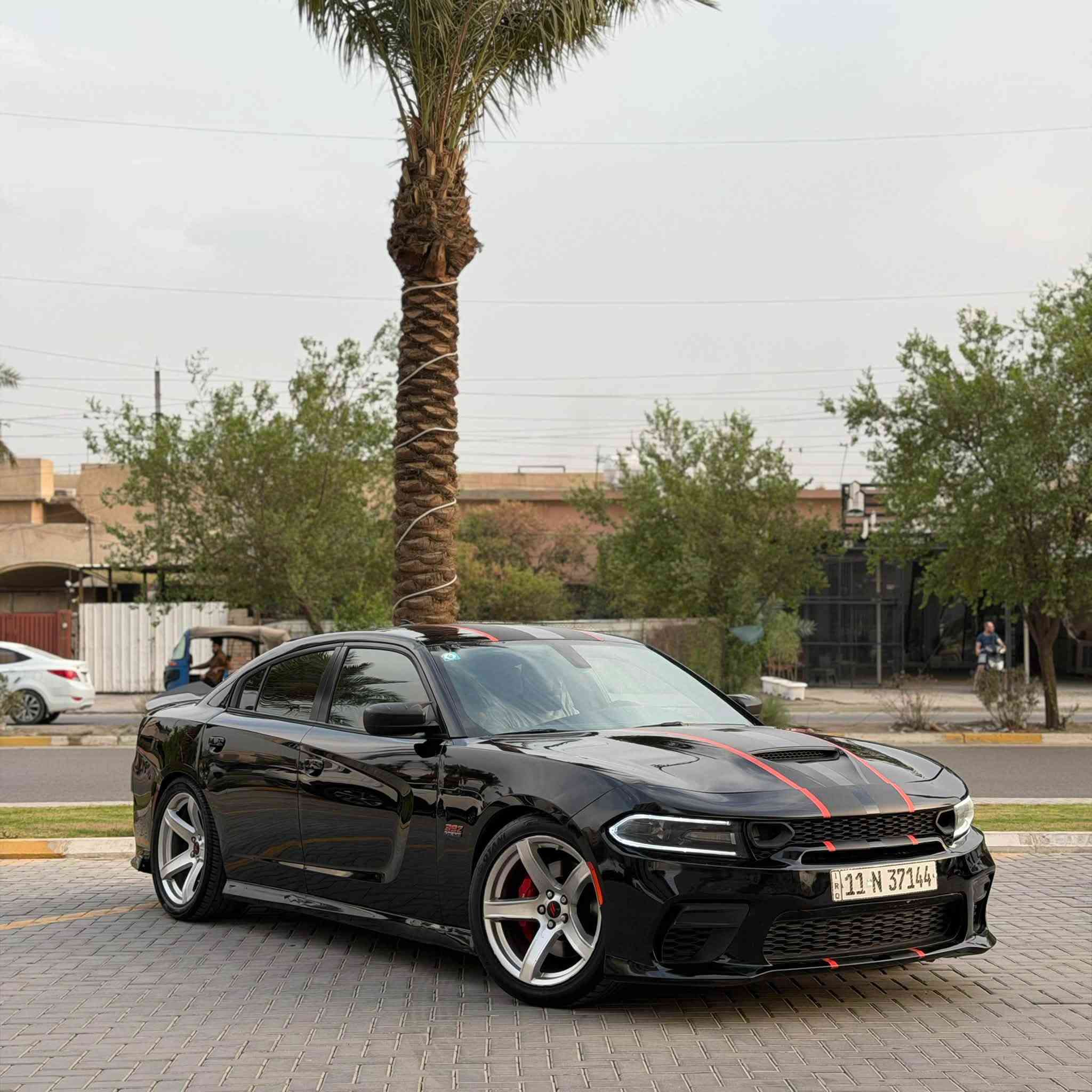 سكات باك • V8 ٦٤٠٠ • رقم بغداد