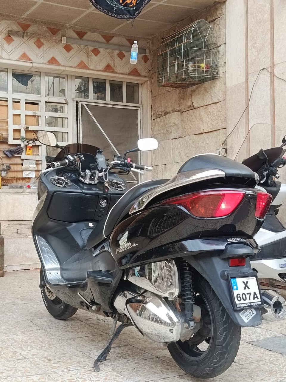 فورزه • صفر • ٤٨٠٠٠