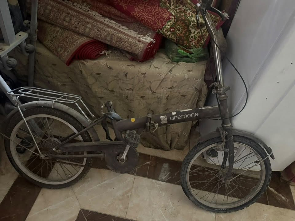 باسكلات للبيع مكانهم الرمادي
الجوزي نضيف تايرات وجواب جدد بس عوزة سرج 

سعرة 65  وبي مجال لشراي 
والأحمر ياباني اصلي من القديمات جديد ونضيف مستخدم قليل ضامي بالمخزن من سنين وشوفة عينكم صورته وبعد شكلة بالحقيقة احلى سعرة 75 وبي مجال بشرتي انشاءالله 

***********

