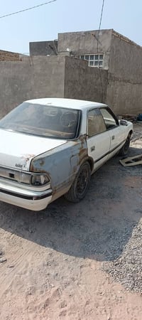 مارك عظم • رقم نجف • گير ومگينة