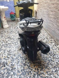 سكنس • كوري • كفالة