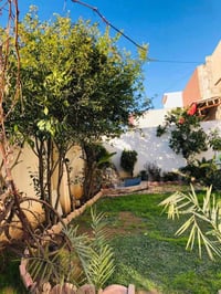قوسيات حي الزيتون • ٢٢٥م • واجهة ١٣م
