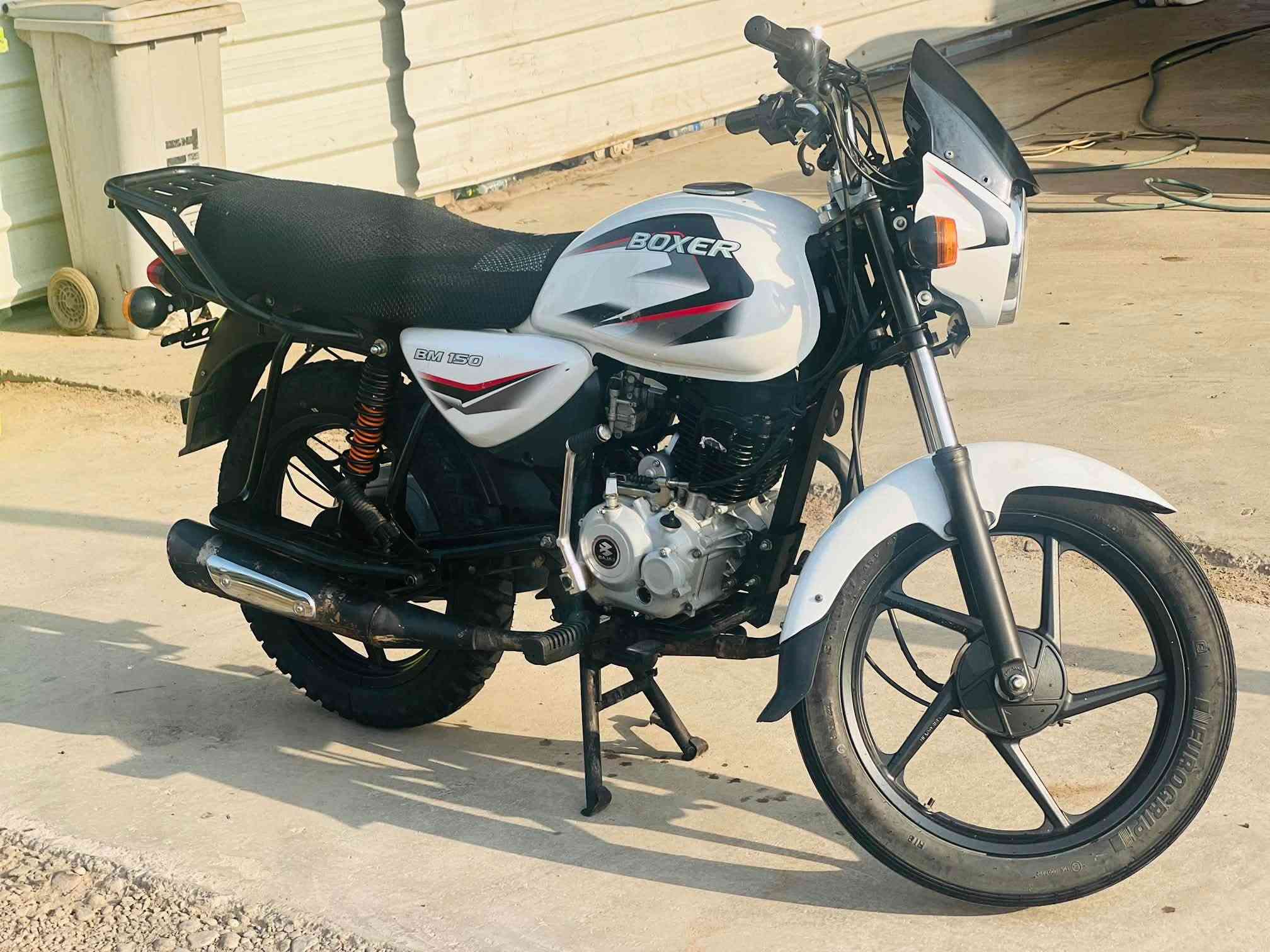 بوكسر كلاسك • زيرو • موديل 24