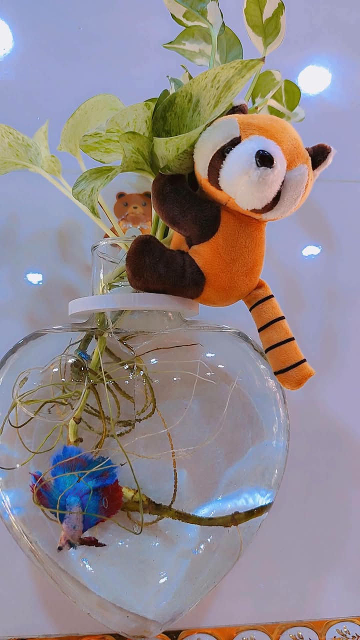🎊بدأ موسم الزرع افضل وقت تزرع بي🎊
الشهر ٩🎊🍀🌿🪴
لتشجيع على الزراعه 🪴🍀🍃
تم توفير موديلات جديد من سنادين بلاستيك 🪴 واكسسوارات نباتات 🐼 🐸 🌿🍀🪴🪴🍀🍀🪴 ❤️🌹
لحجز واتساب ***********📞🚕
