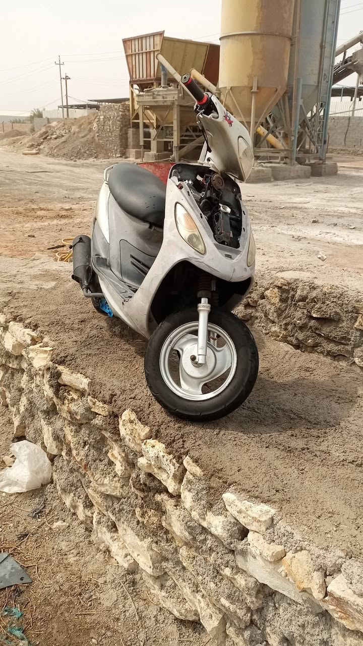 ماكس • نضيفه • سلف