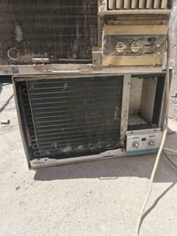 البصرة شط العرب • كلهن شغالة