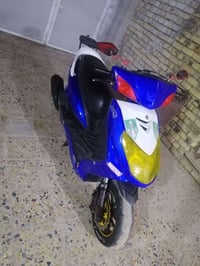 سكنس فحل • مزوودة • ويل NCY