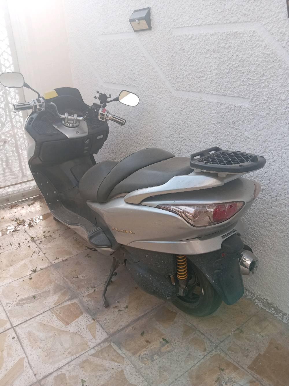 فورزا • كرستال • ٠٨