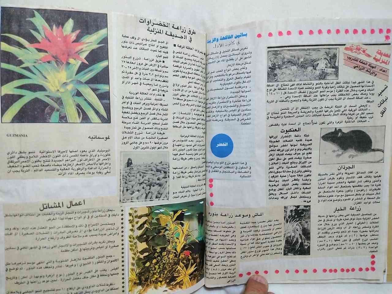 للبيع لاصحاب الانتيكا والحداىق ... 
البوم مجلد كبير  انتيكا شغل يدوي ٢٦×٢٠سم من ٤٠ صفحة يضم ٢٠٠ موضوع عن زراعة الحديقة المنزلية وكيفية زراعة الزهور باسمائها وبانواعها والاشجار والخضروات على شكل قصاصات لصق من عشرات الصحف العراقية منذ الثمانينات  نشرها مهندسون زراعيون منذ الثمانينات .
السعر ٢٥ الف 
يوجد توصيل لكافة المحافظات.
للتواصل خاص او واتساب ***********
