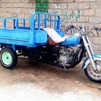 كلك كلك • ستوته • مديل 11