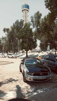 موستنك كشف موديل2011 سياره  رقم بغداد نكليزي بسمي مصفره غرامات ينرادله...