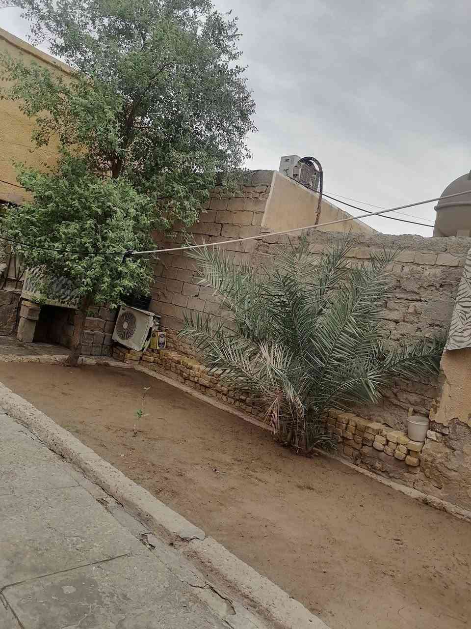 بيت زراعي • حي الجمعيه • ٢٤٠م