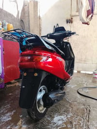 فراشة • فحل • ١٤٠