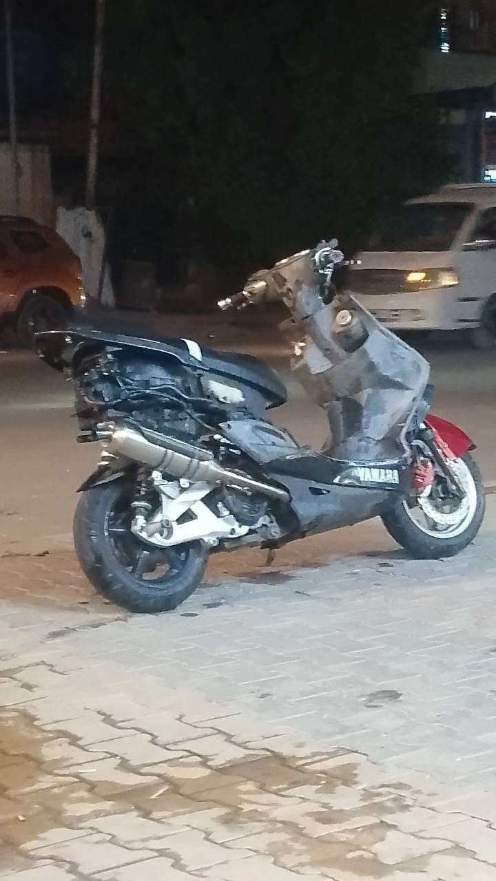 سكنس فحل • ٥٨ • معدل